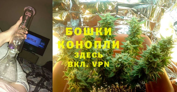 mdpv Арсеньев