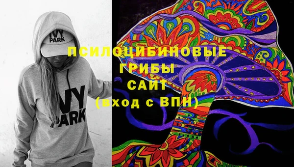 стаф Армянск
