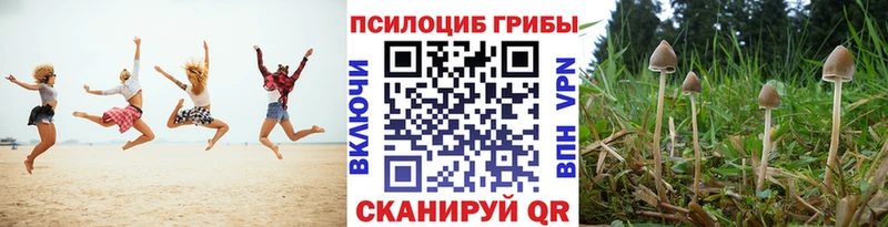 Псилоцибиновые грибы прущие грибы  KRAKEN ССЫЛКА  Малоярославец 